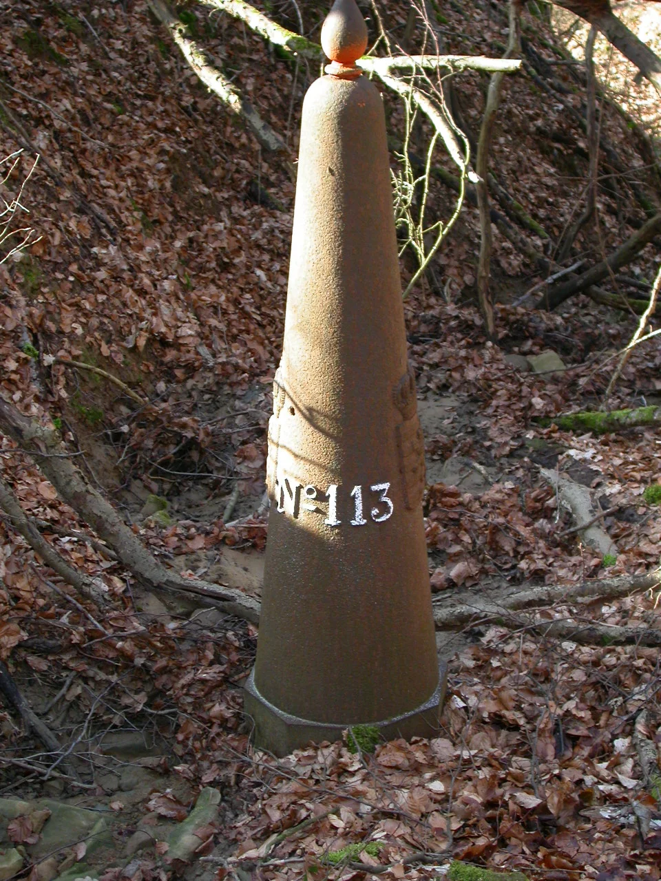 LB 113.JPG
