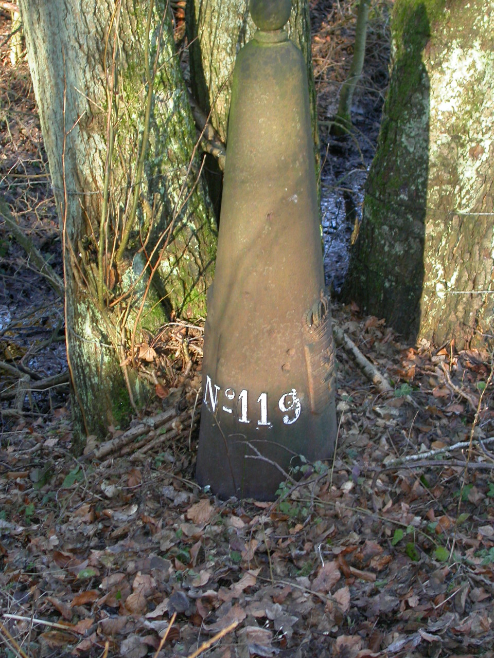 LB 119.JPG