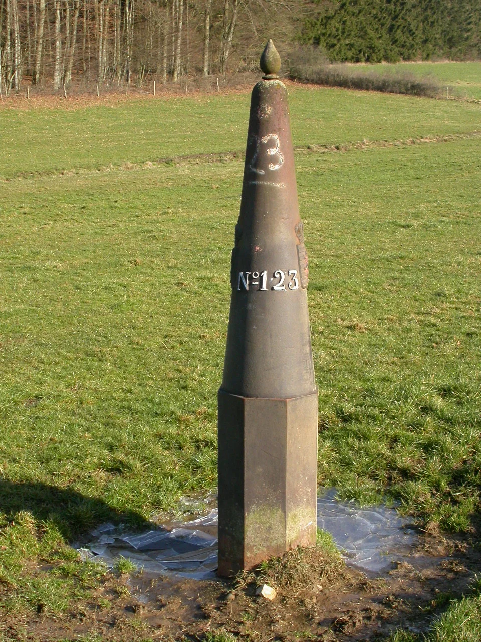 LB 123.JPG
