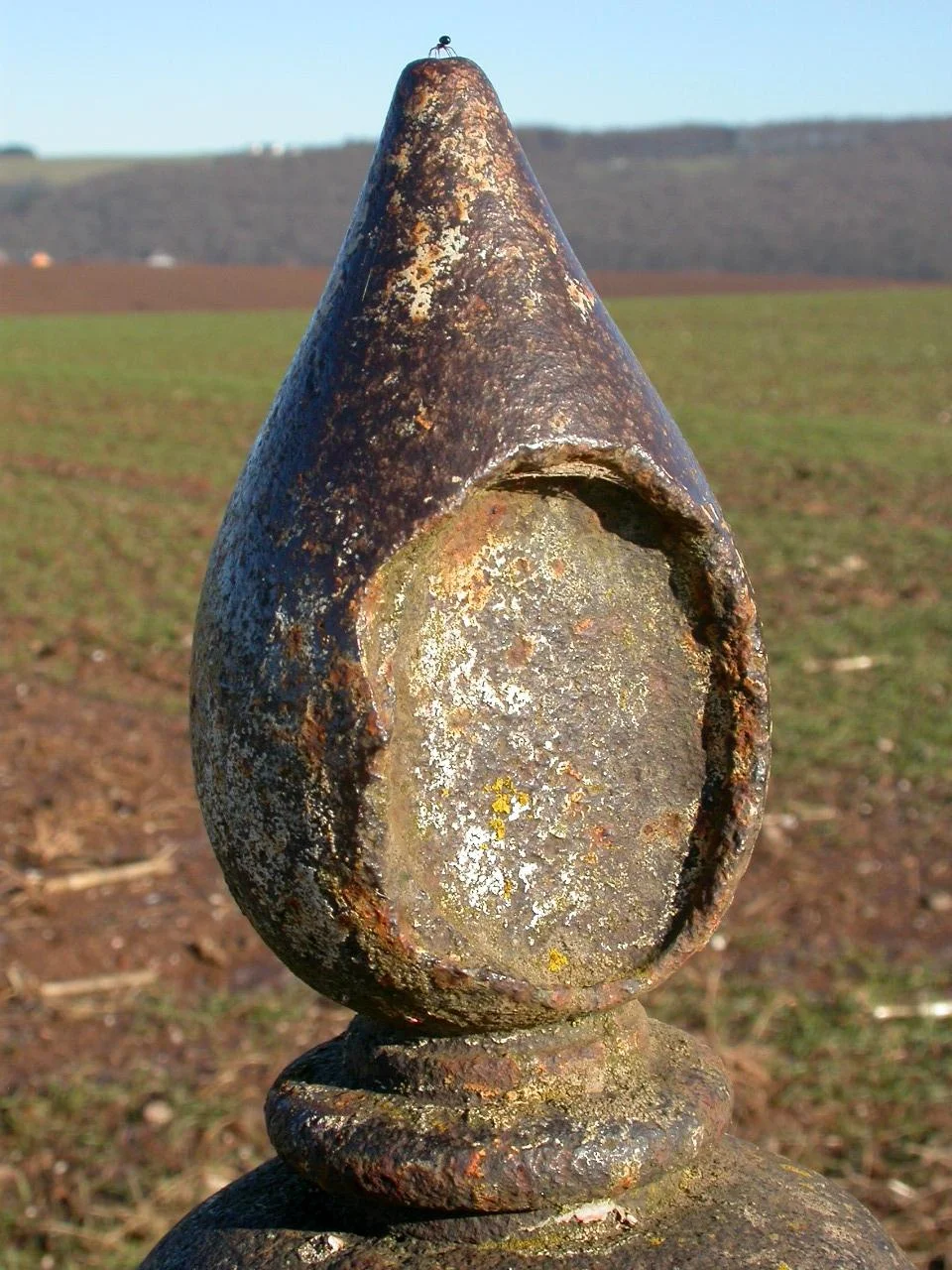 LB 142 detail.JPG