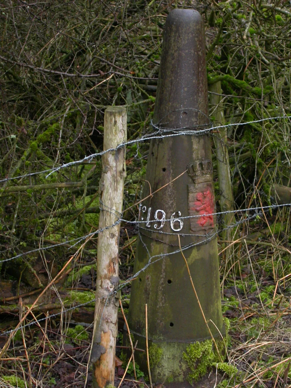 LB 196.JPG