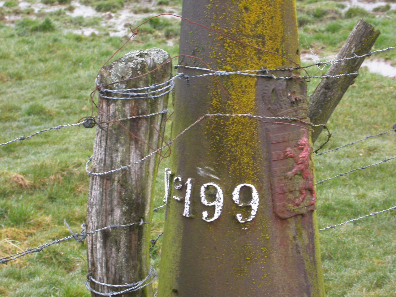 LB 199 detail.JPG