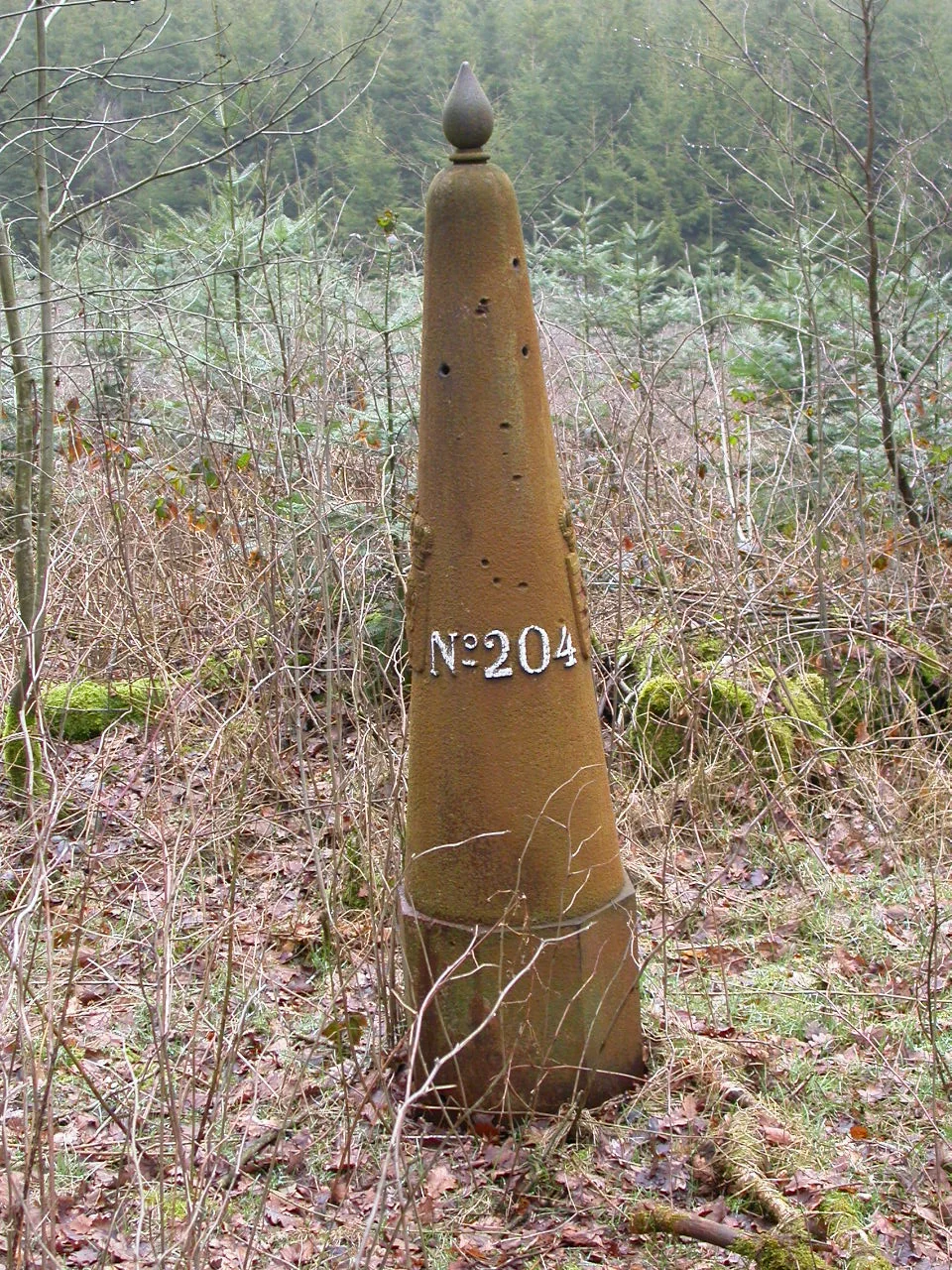 LB 204.JPG