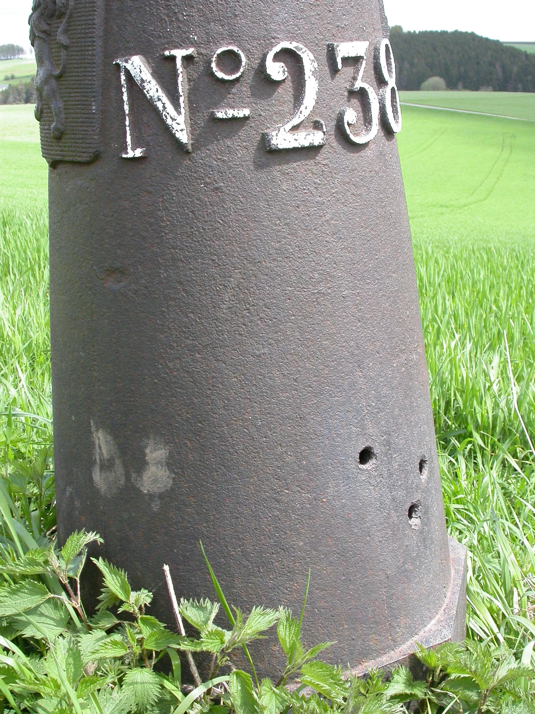 LB 238 detail 3.JPG