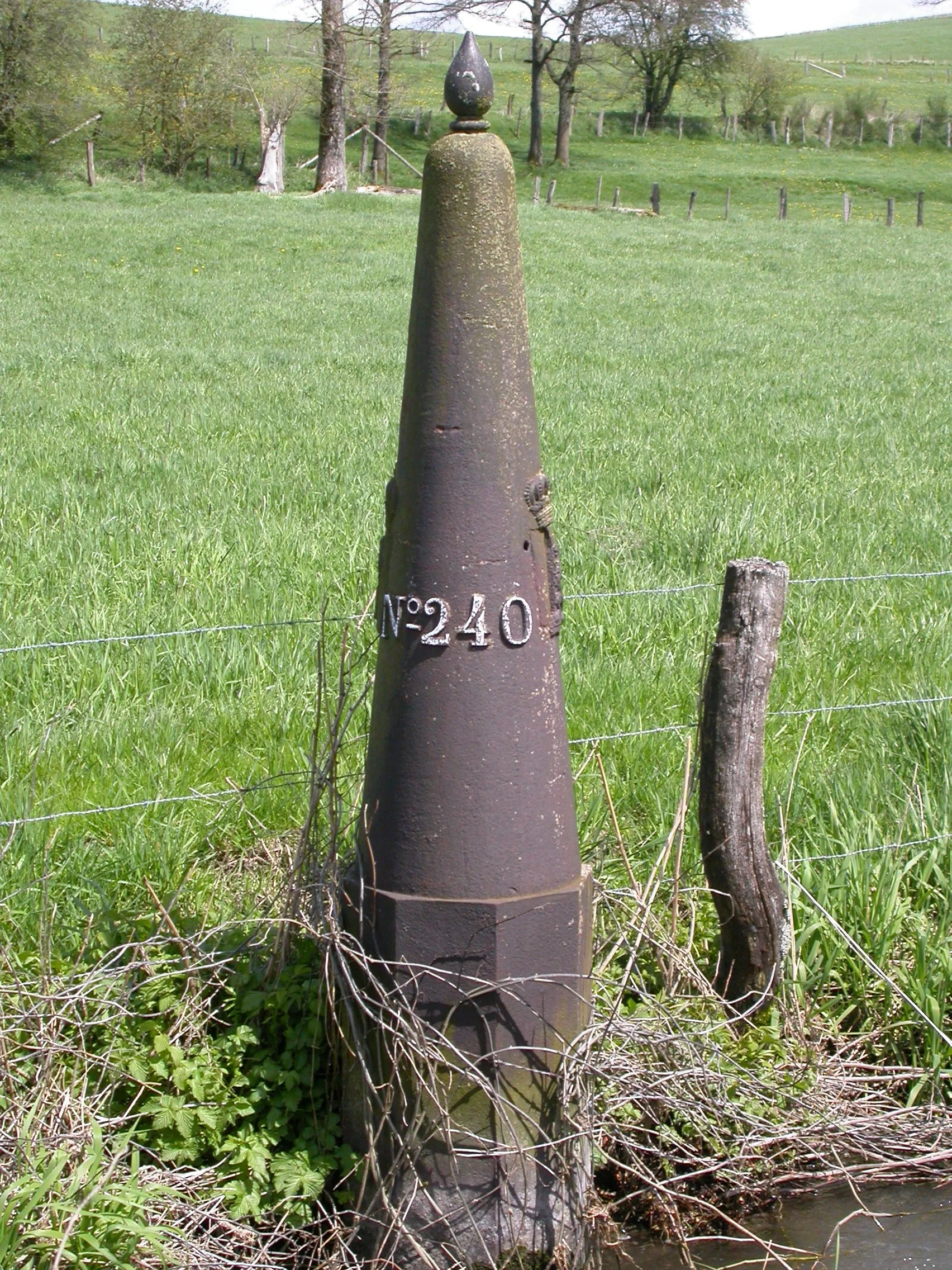 LB 240.JPG