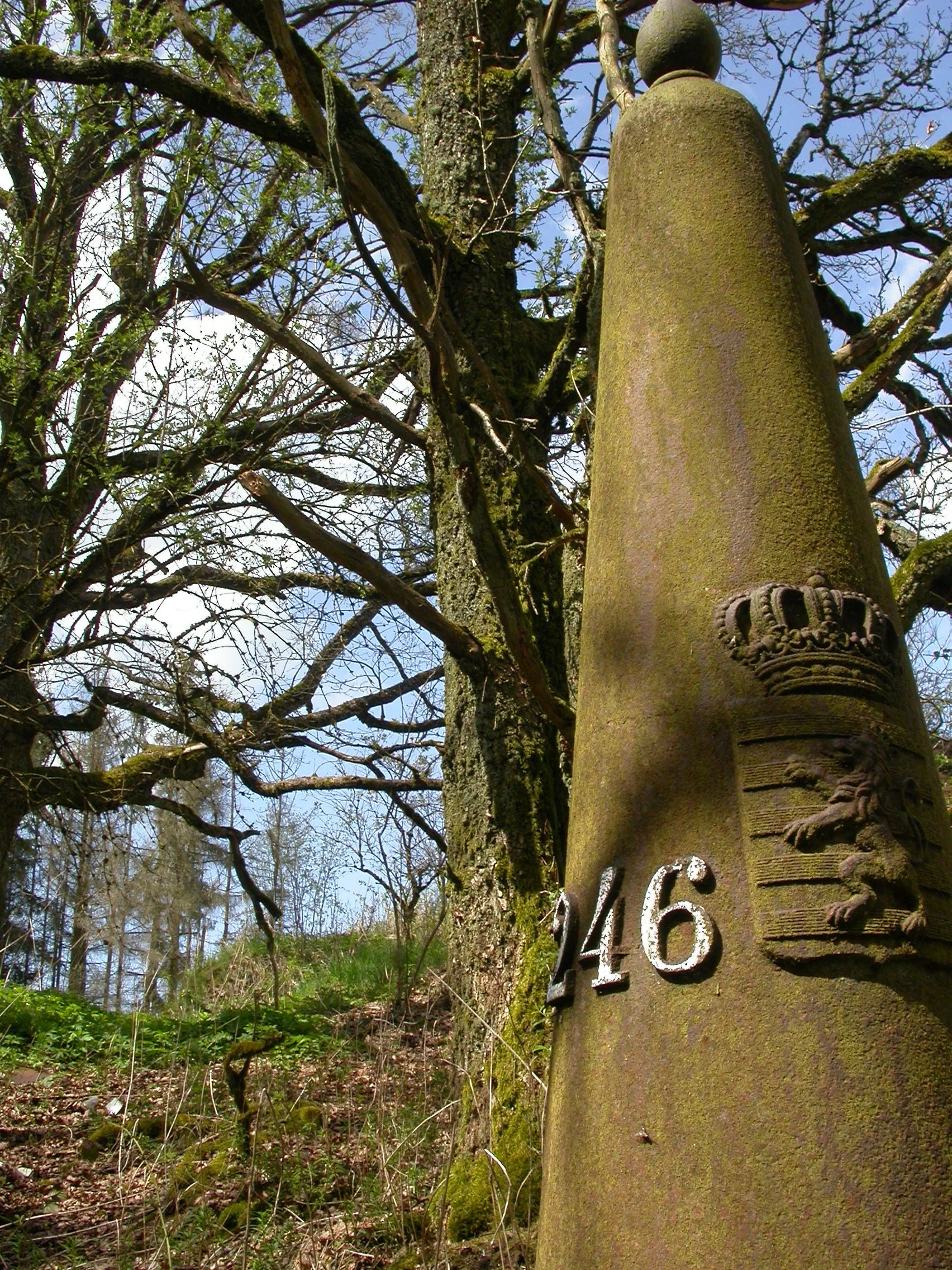 LB 246 vue.JPG