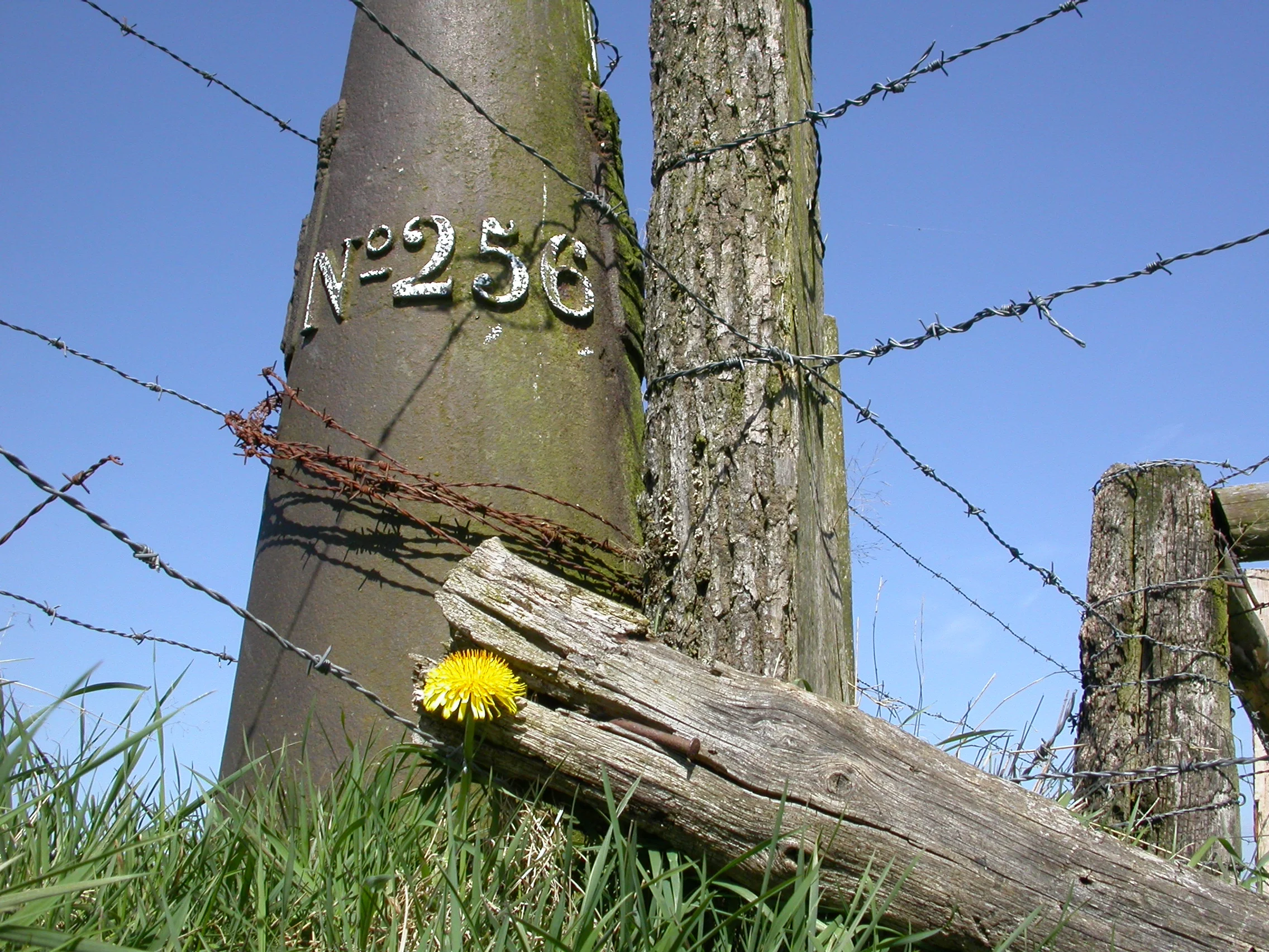 LB 256 detail.JPG