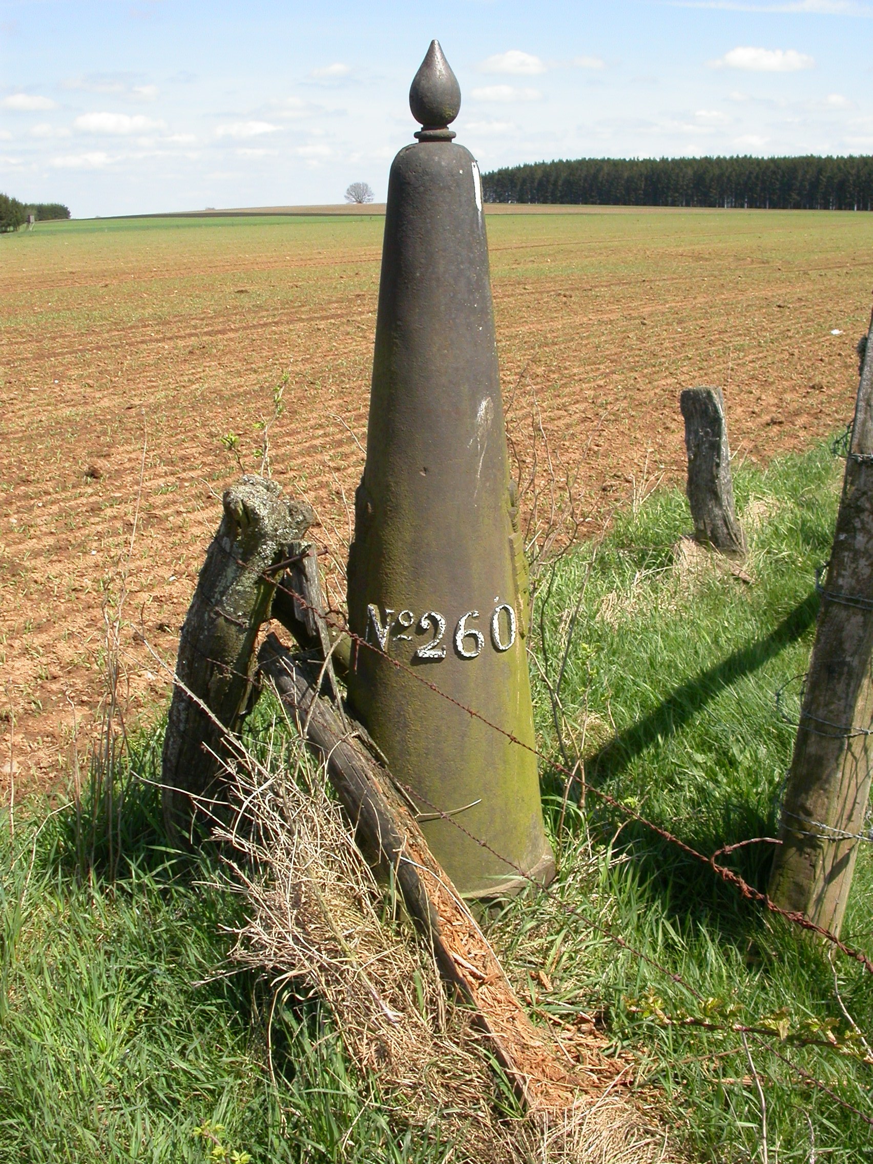 LB 260.JPG