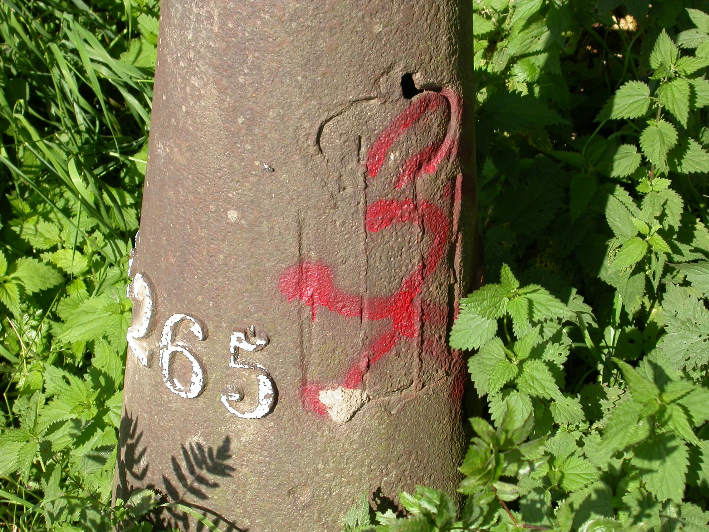 LB 265 detail.jpg