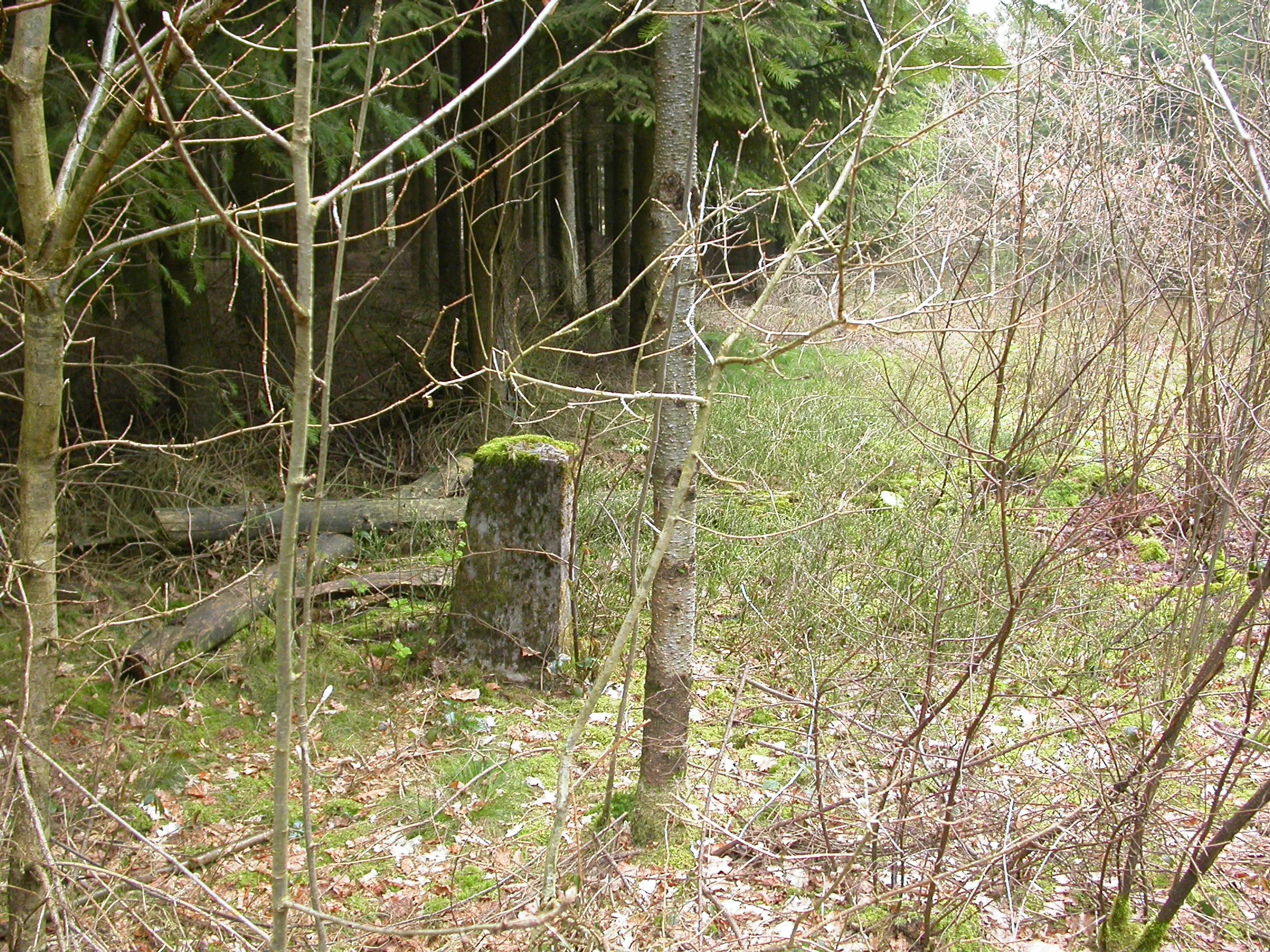 DSCN4697.JPG
