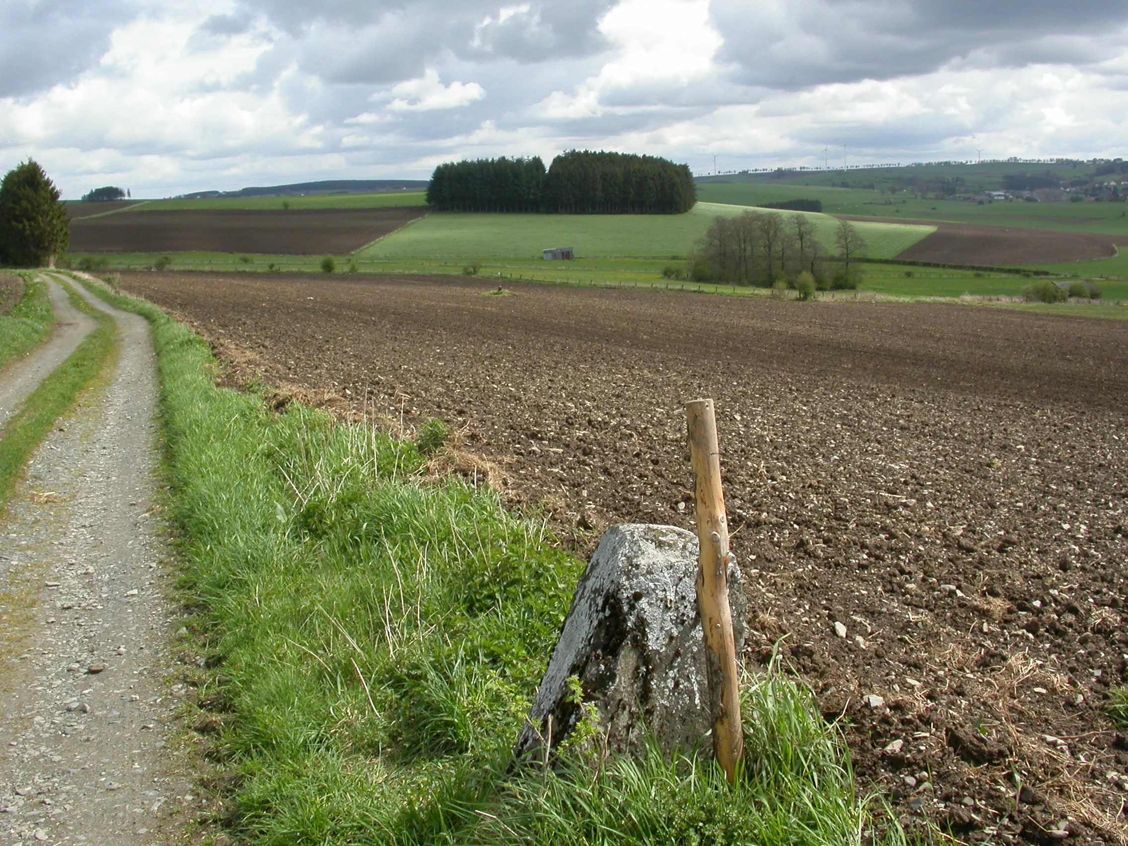 entre bornes 236 237.JPG