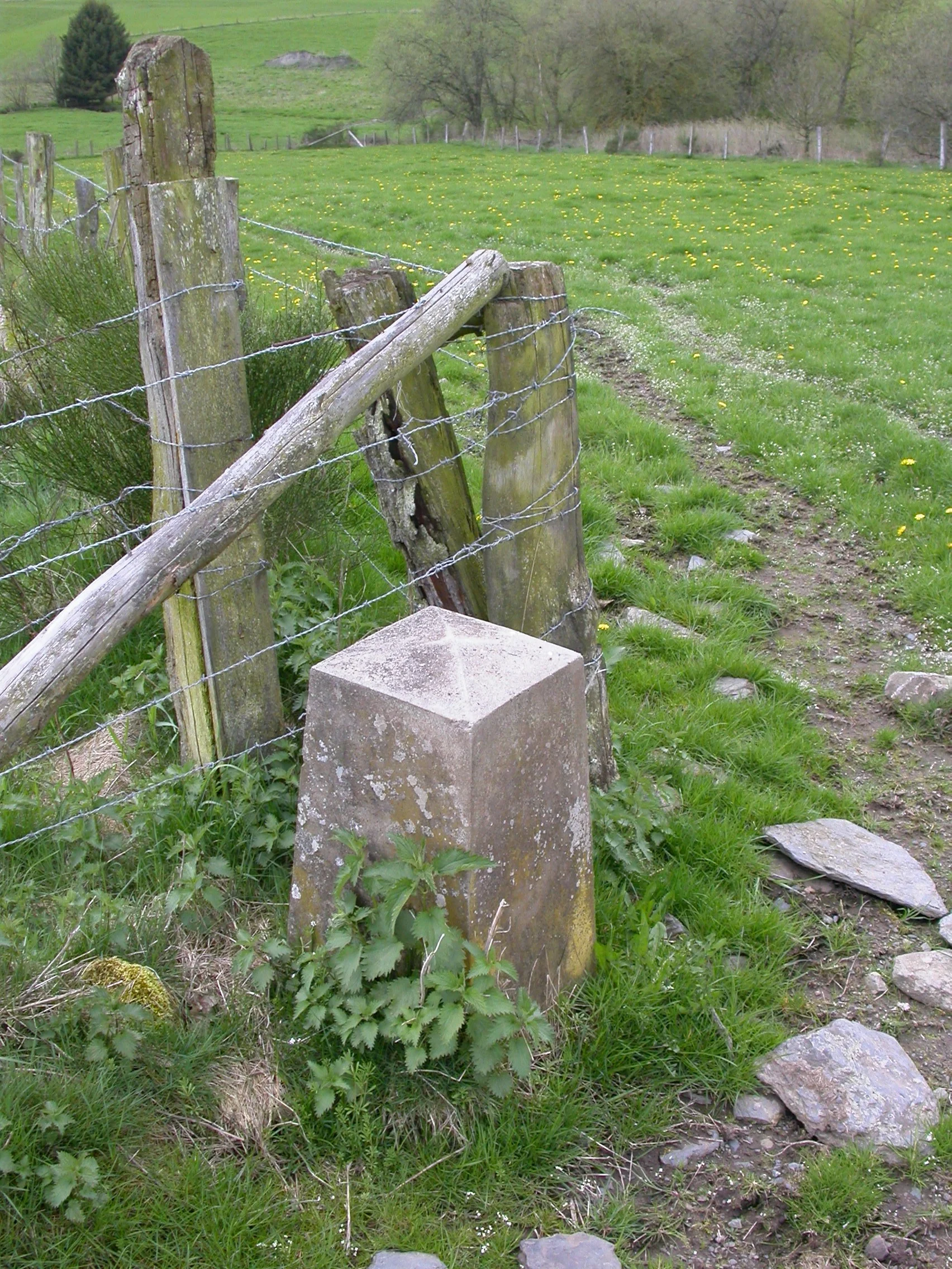 entreborne 241 242.JPG