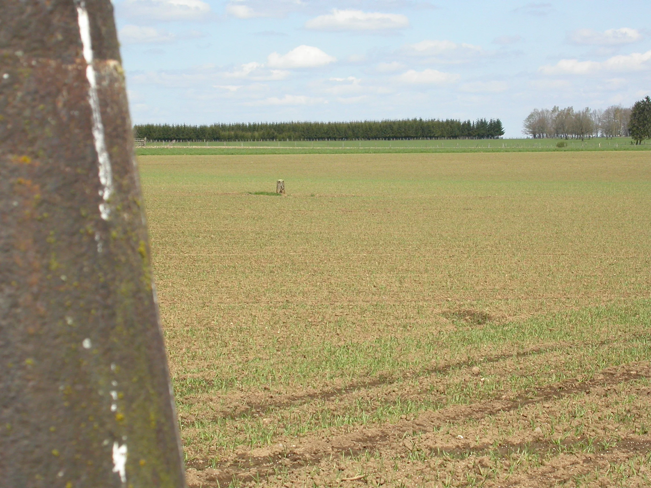 LB 261 entreborne.JPG