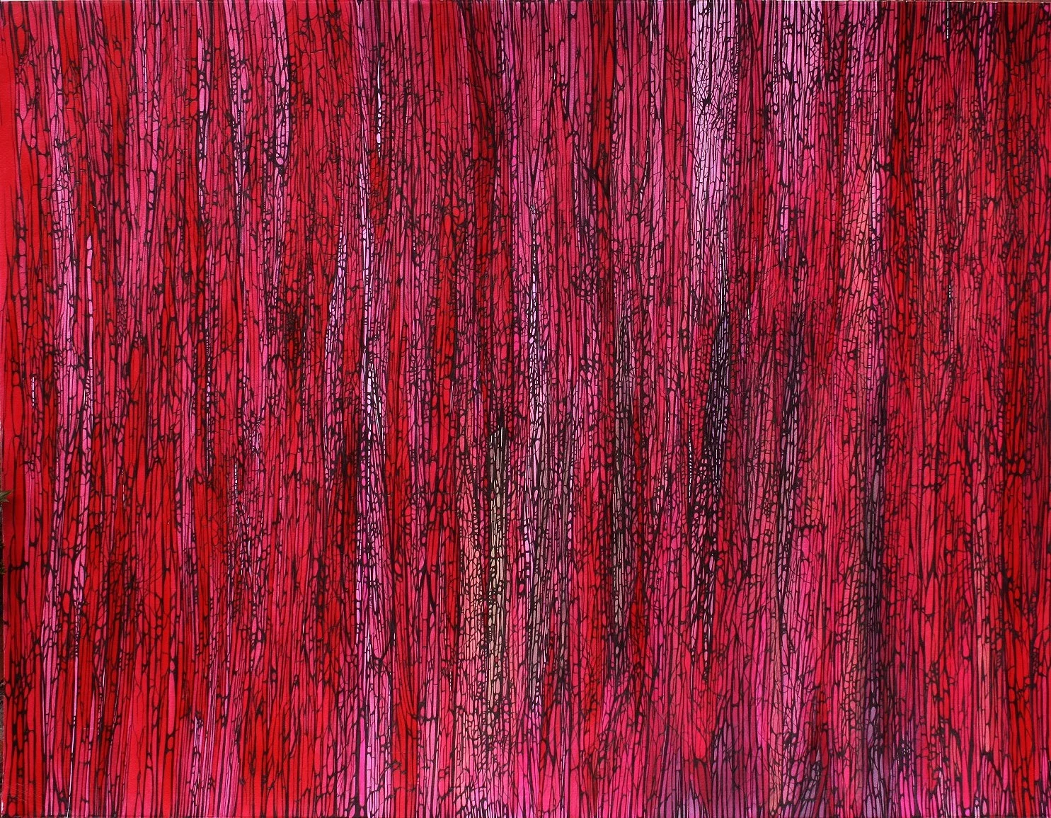 A Flicker of Light Through a Forest of Red