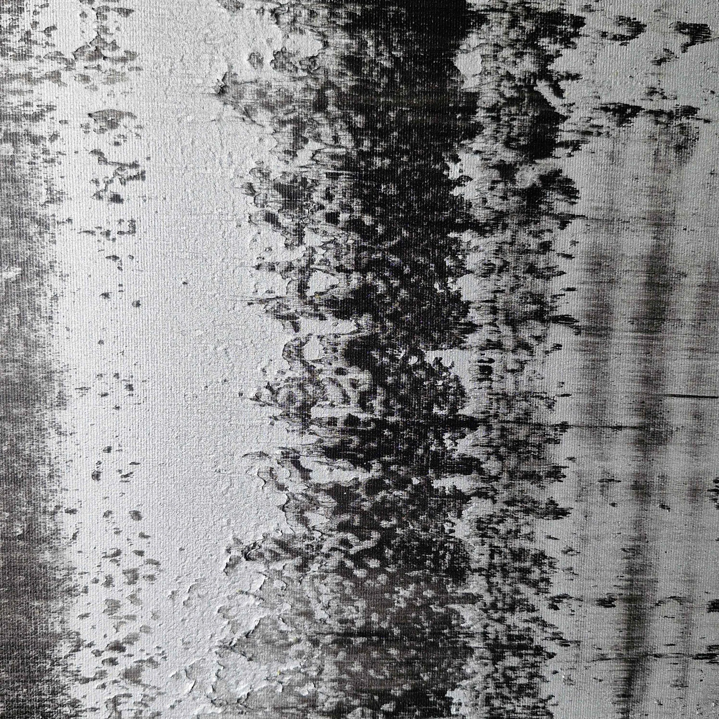 Reflections  - Detail shot - web.jpg