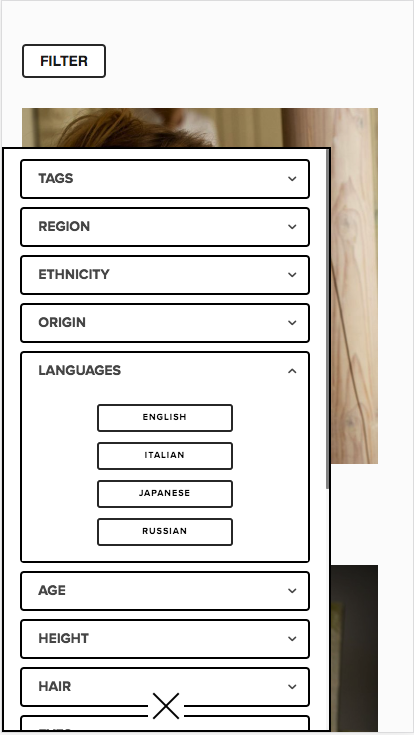 Universal Filter - Mobile Panel + Modern View.png