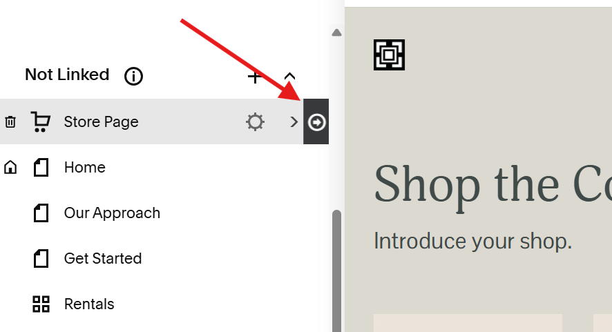 copy store collection.png