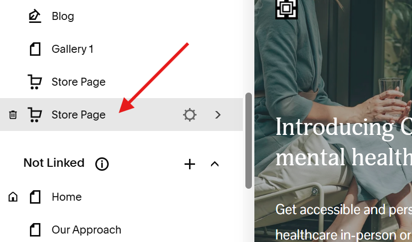 shop page is copied.png