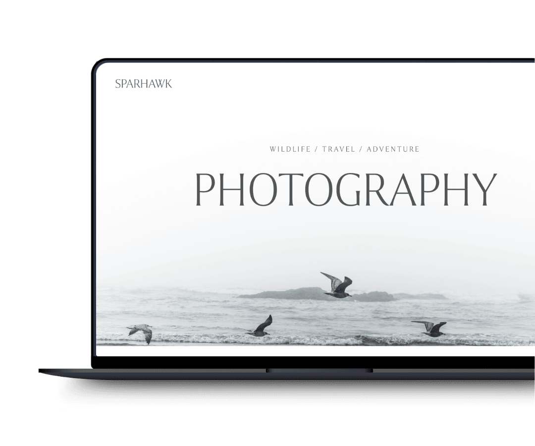 Sparhawk By Launch Out Loud™