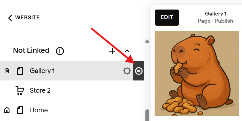 click get collection button.png