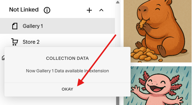 gallery section has been copied.png