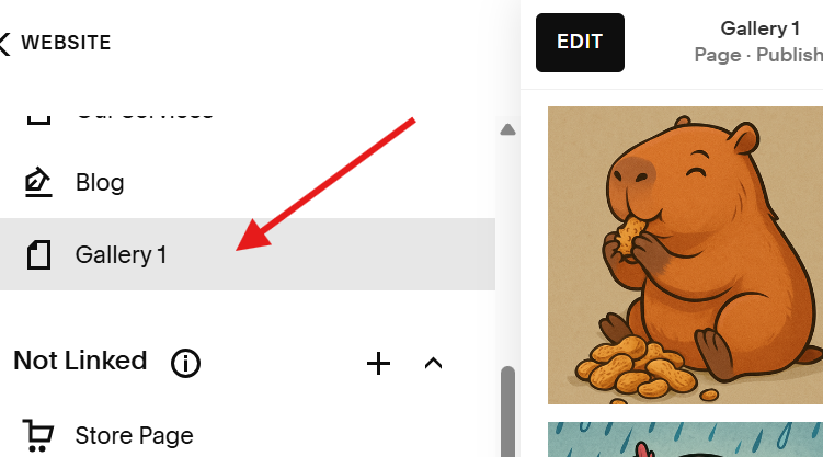 gallery section is created.png
