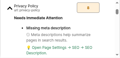 Identify Issues SEO