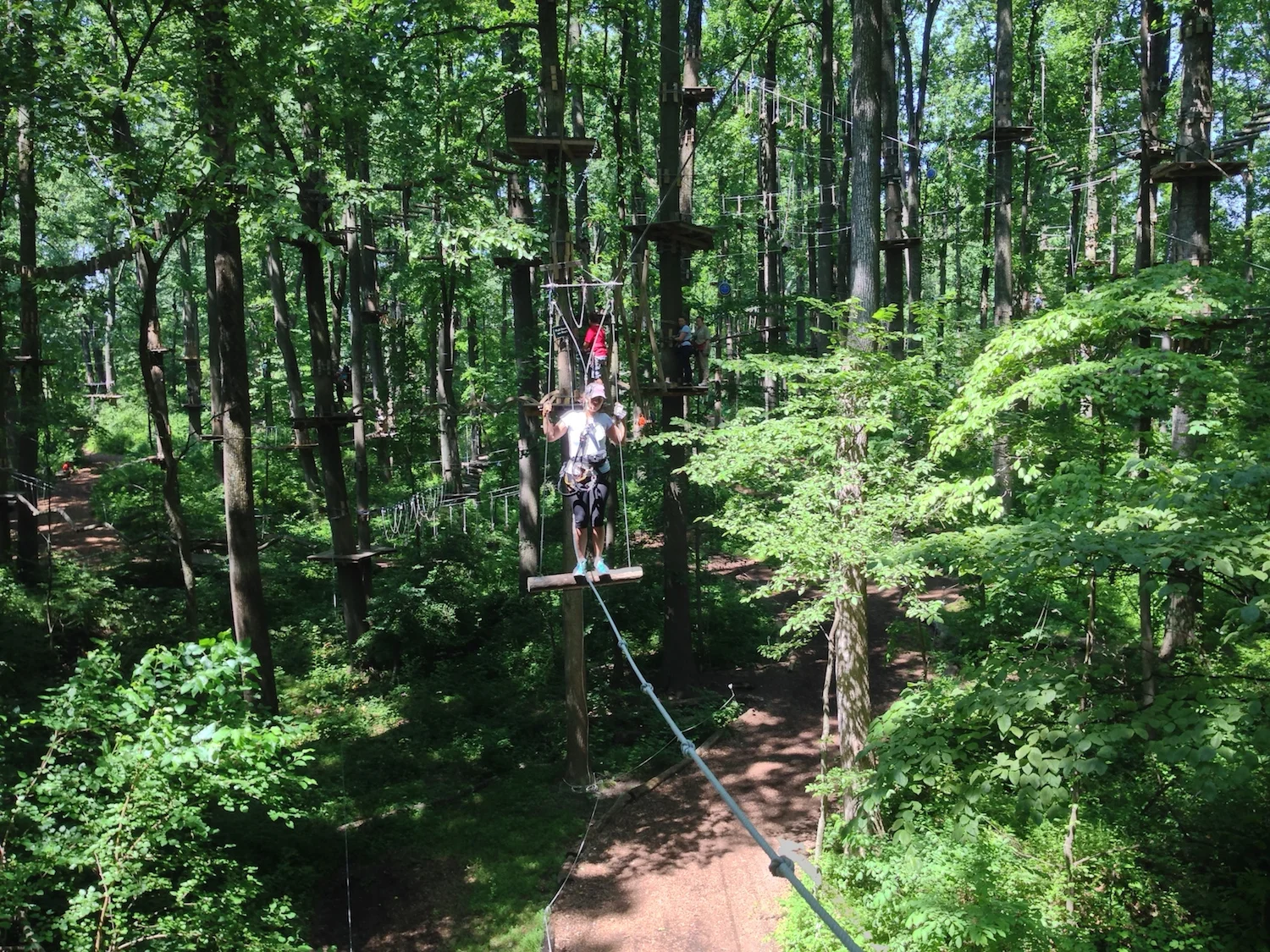 Some of the elements...