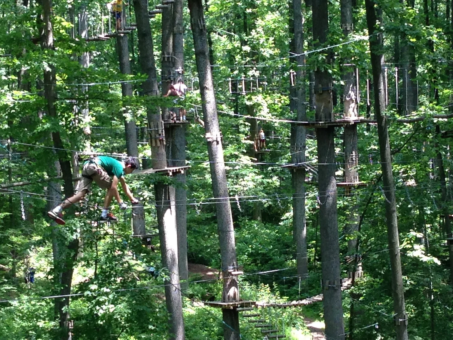 Terror-Filled Fun in the Trees at Adventure Park