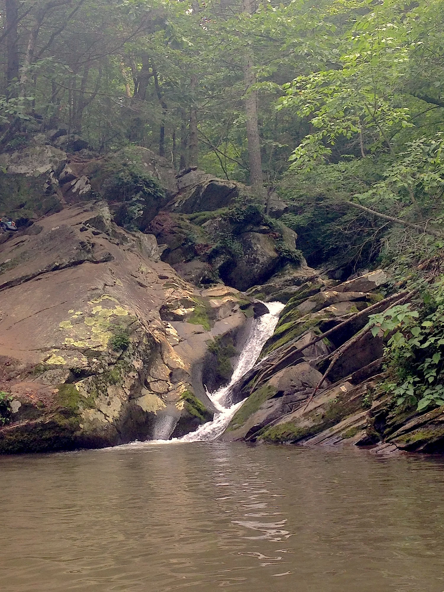 Discover a Charlottesville Swimming Hole