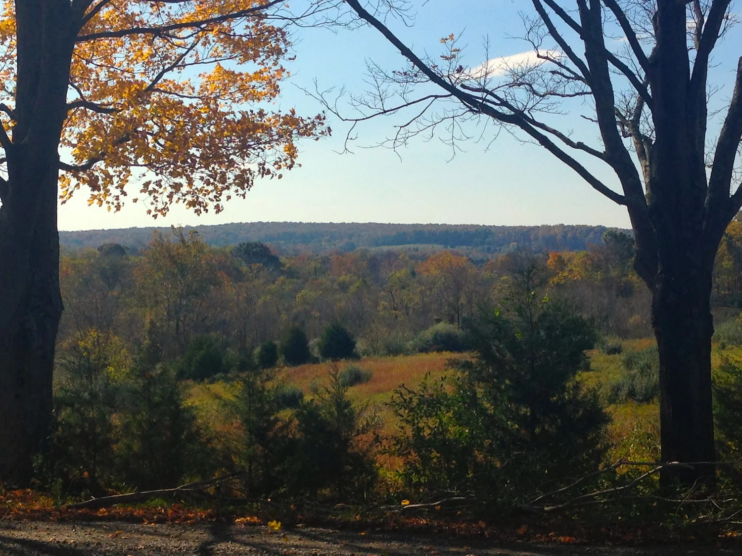 A Fall Walk at Banshee Reeks Nature Preserve