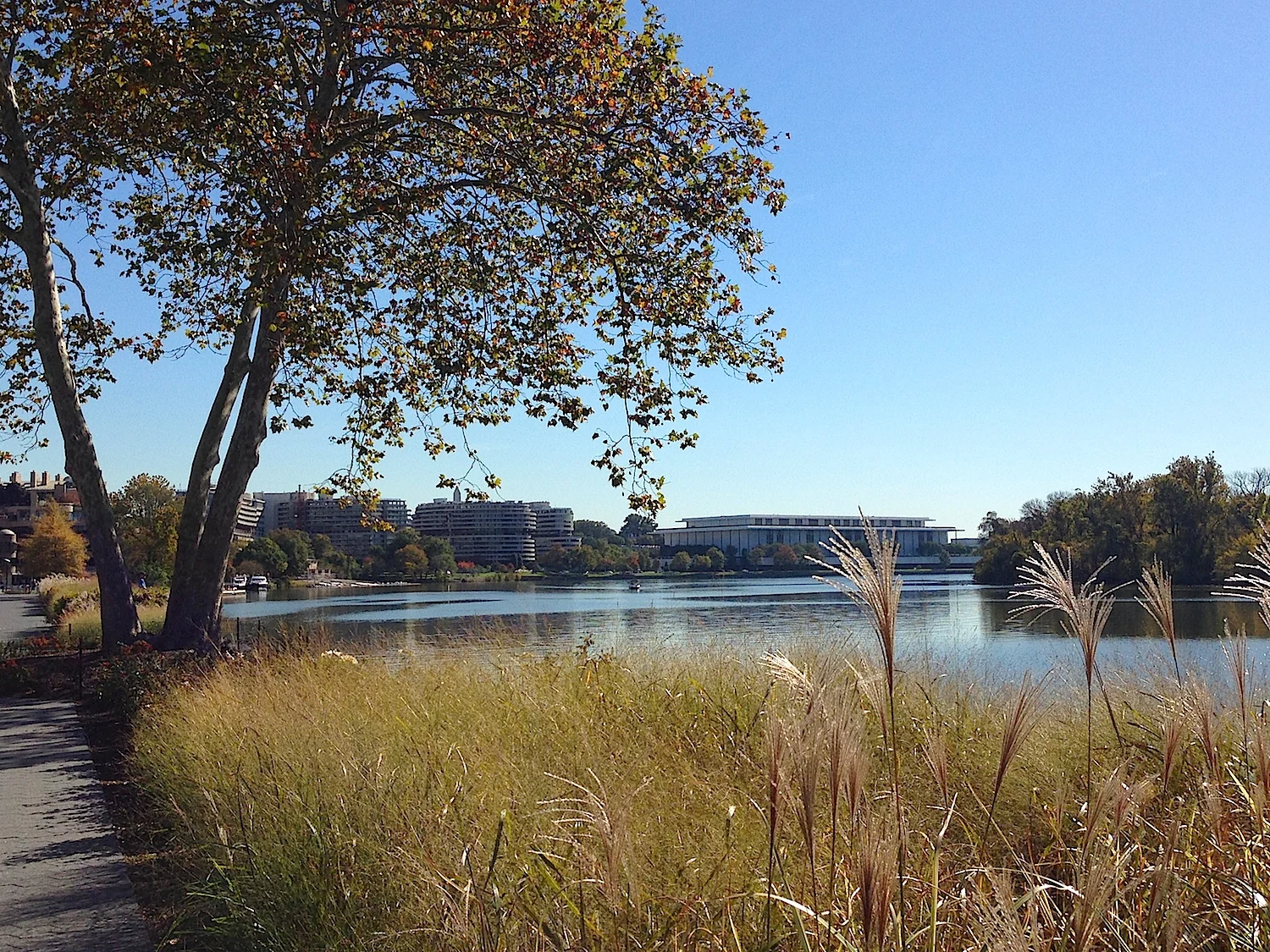 4 Ways to Laze Away the Day at the Georgetown Waterfront