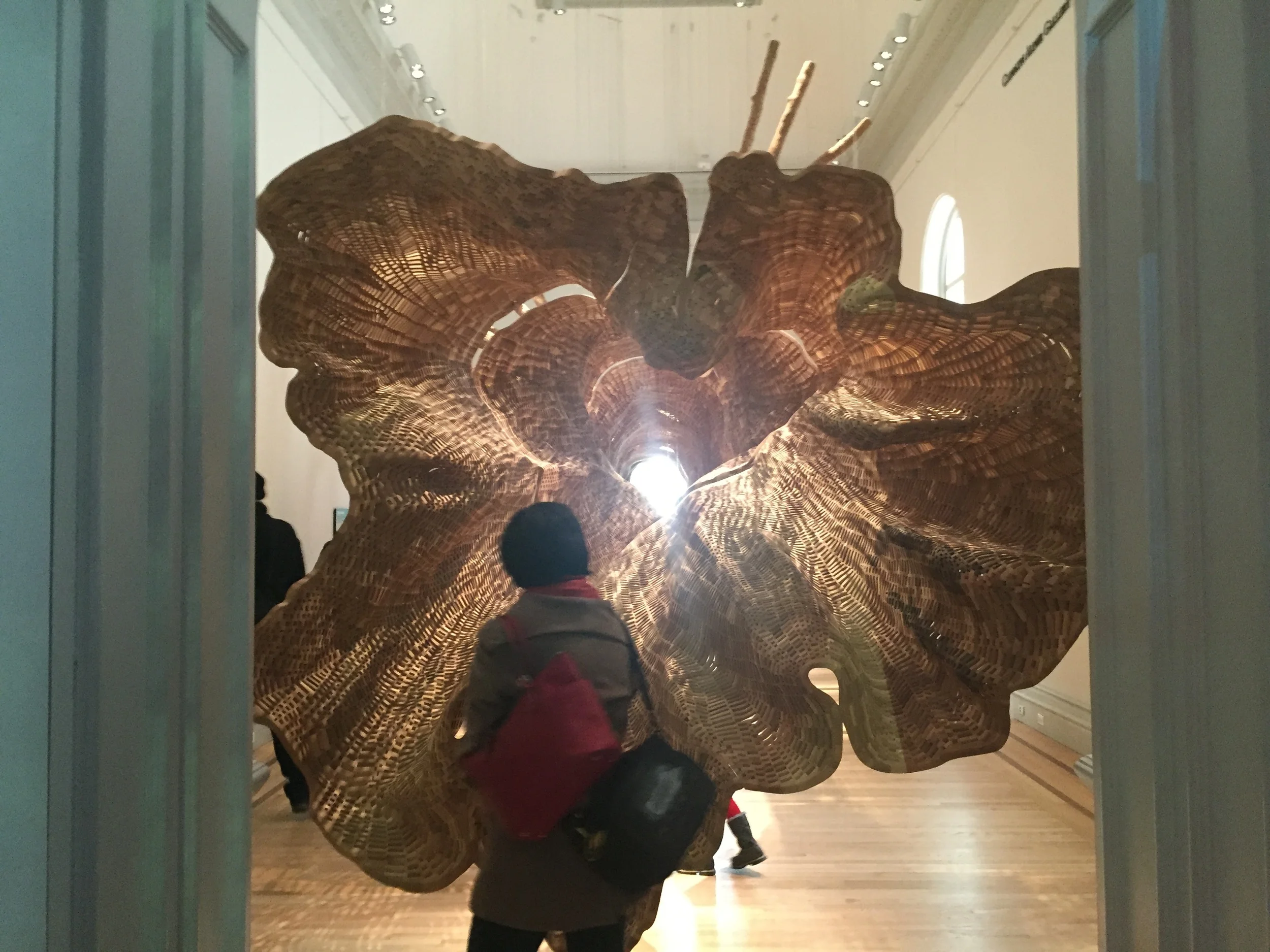 WONDER at Hyper-sized Art at Renwick Gallery