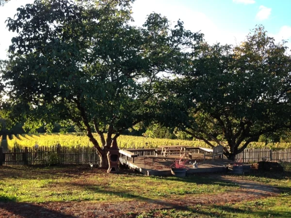 Gantz Family Vineyards