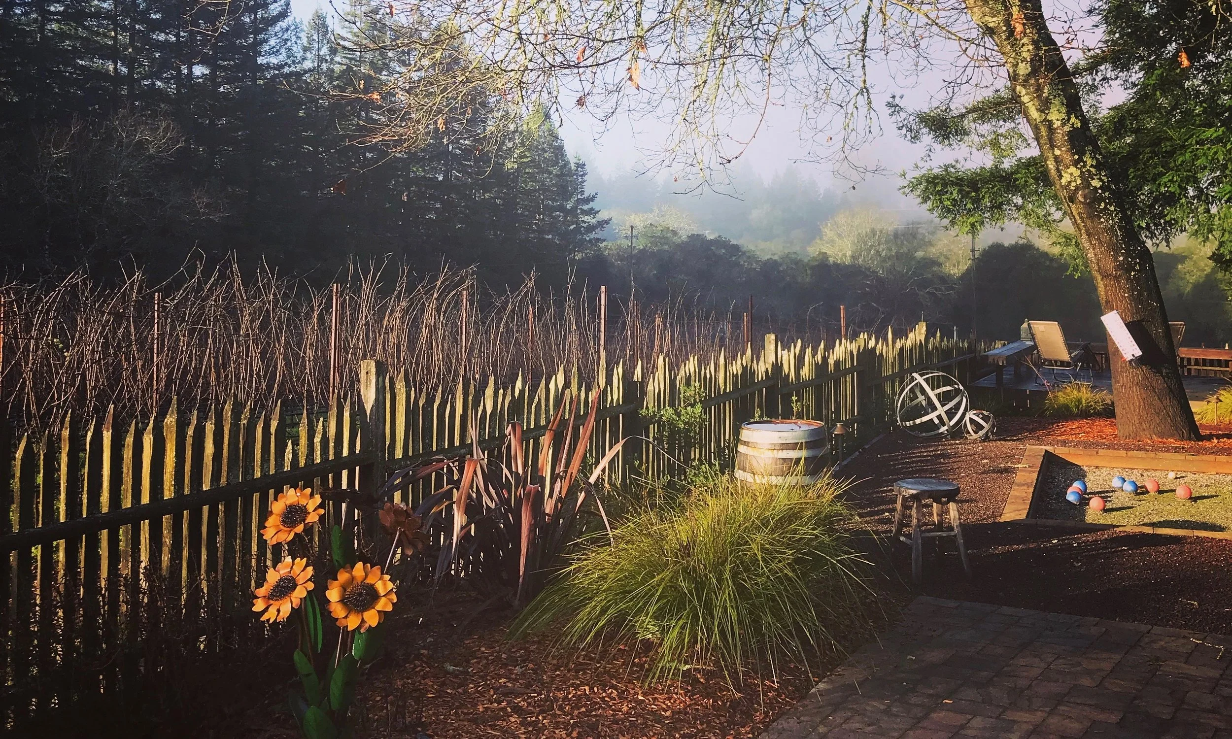 Gantz Family Vineyard: Where "Lush Money" Was Born