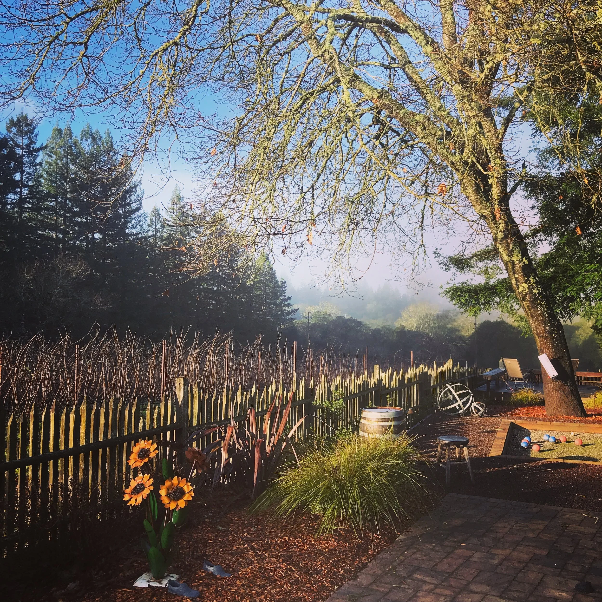 Gantz Family Vineyards , the inspiration for “Lush Money”