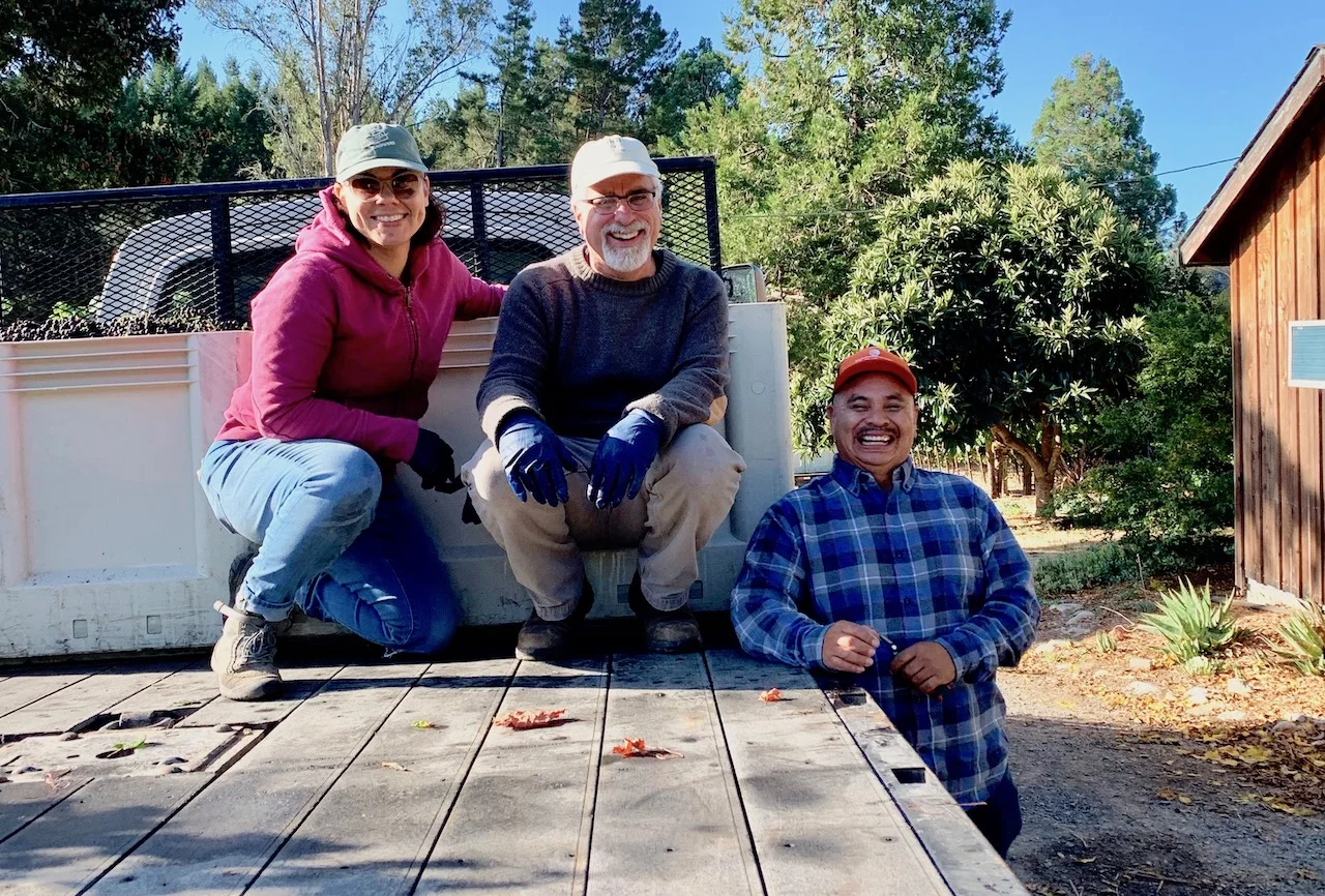 Celebrating Harvest Where LUSH MONEY Was Born