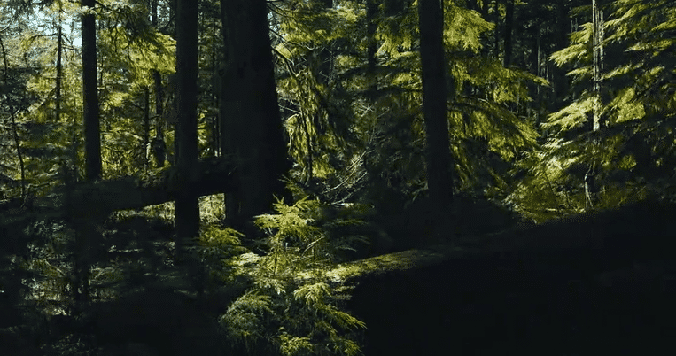 The Issue with Tissue-high-4.gif