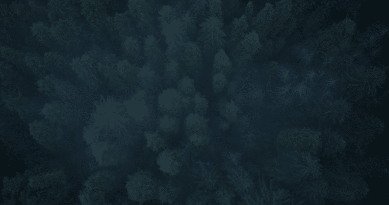 Colin Arisman X Woody Cyr - Sitka Alaska-high.gif