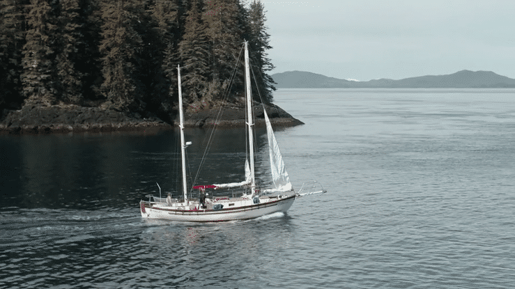 UNDERSTORY - Tongass Documentary-high-73.gif