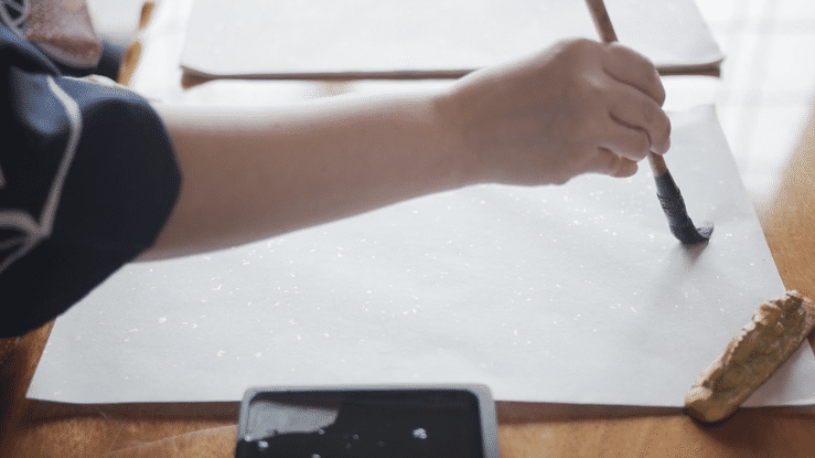 Japan Footage Teaser-high.gif