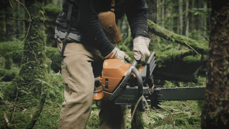 One Tree at a Time-high.gif