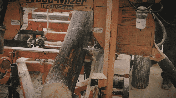 One Tree at a Time-high-4.gif