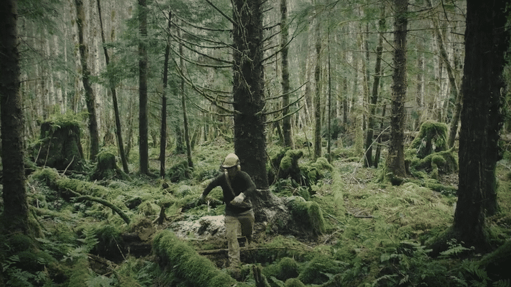 One Tree at a Time-high-5.gif