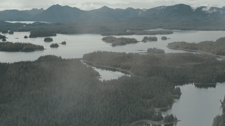 UNDERSTORY - Tongass Documentary-high-2.gif