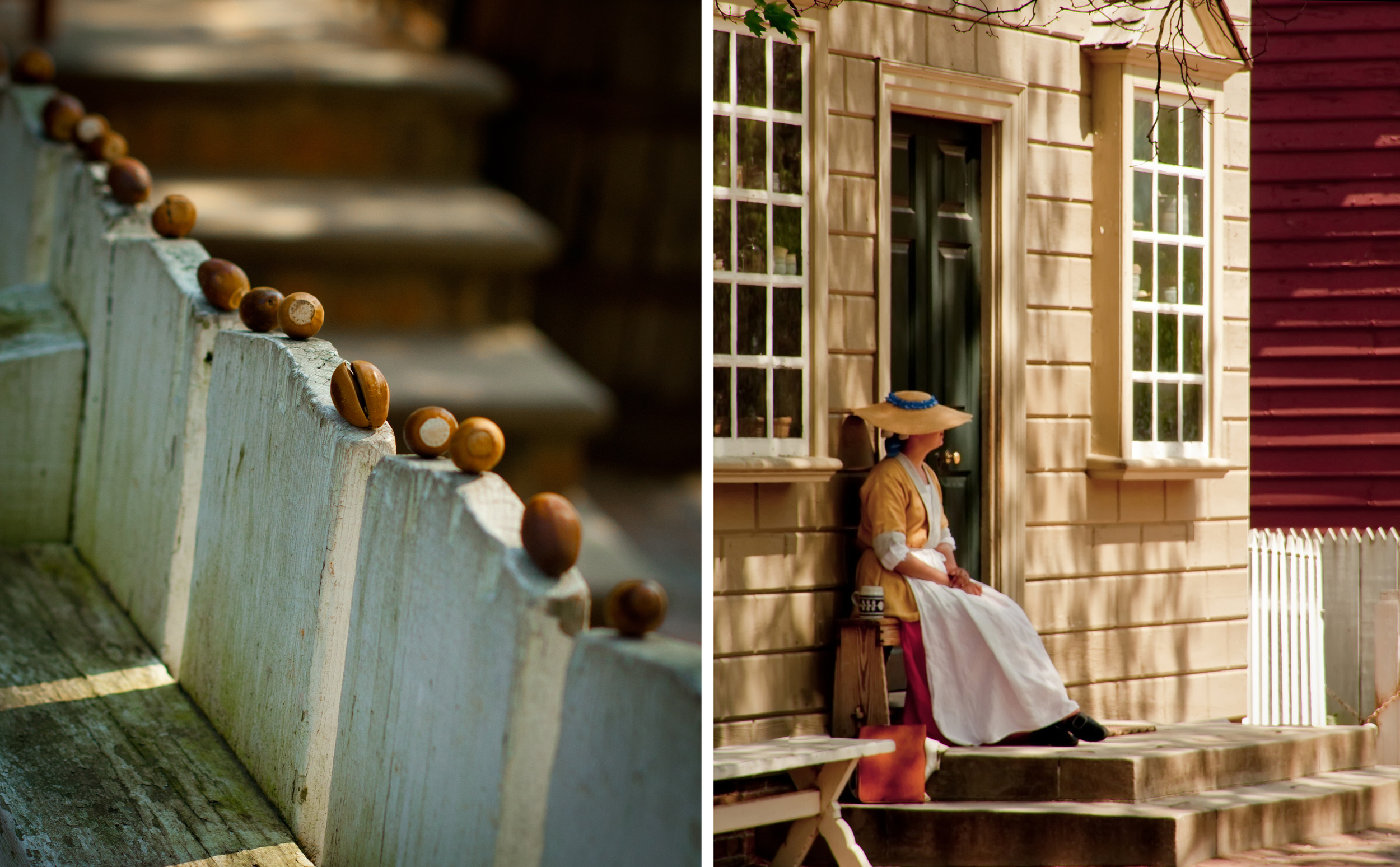 Acorn Diptych.jpg