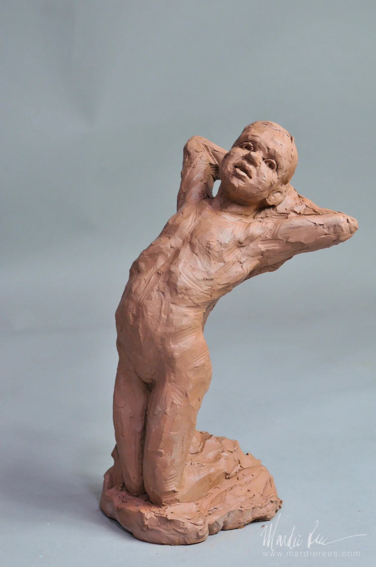 terracotta studies.JPG