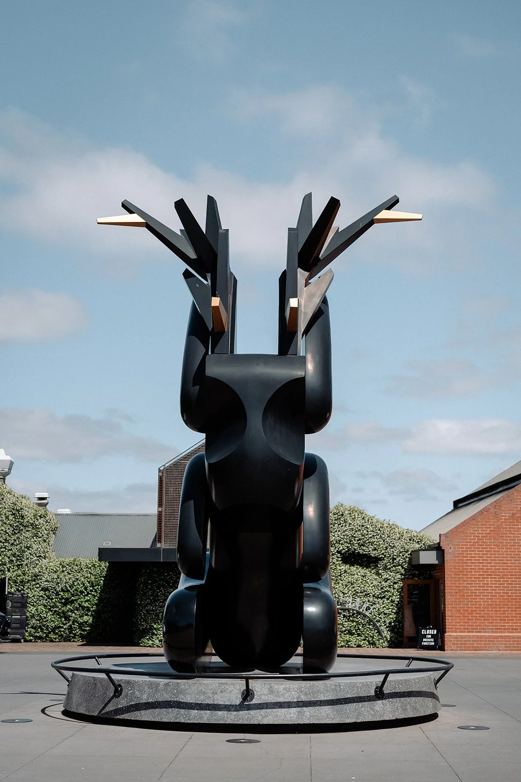 PLR Rare Hare 2023-24.jpg