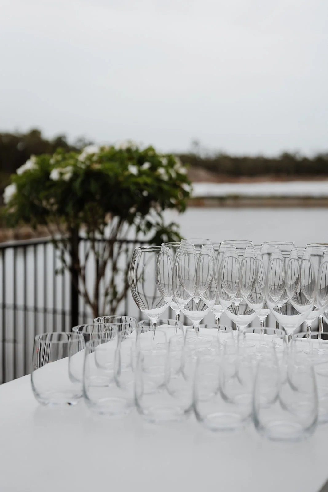 PLR Pelican Waters 15.02.24-3.jpg