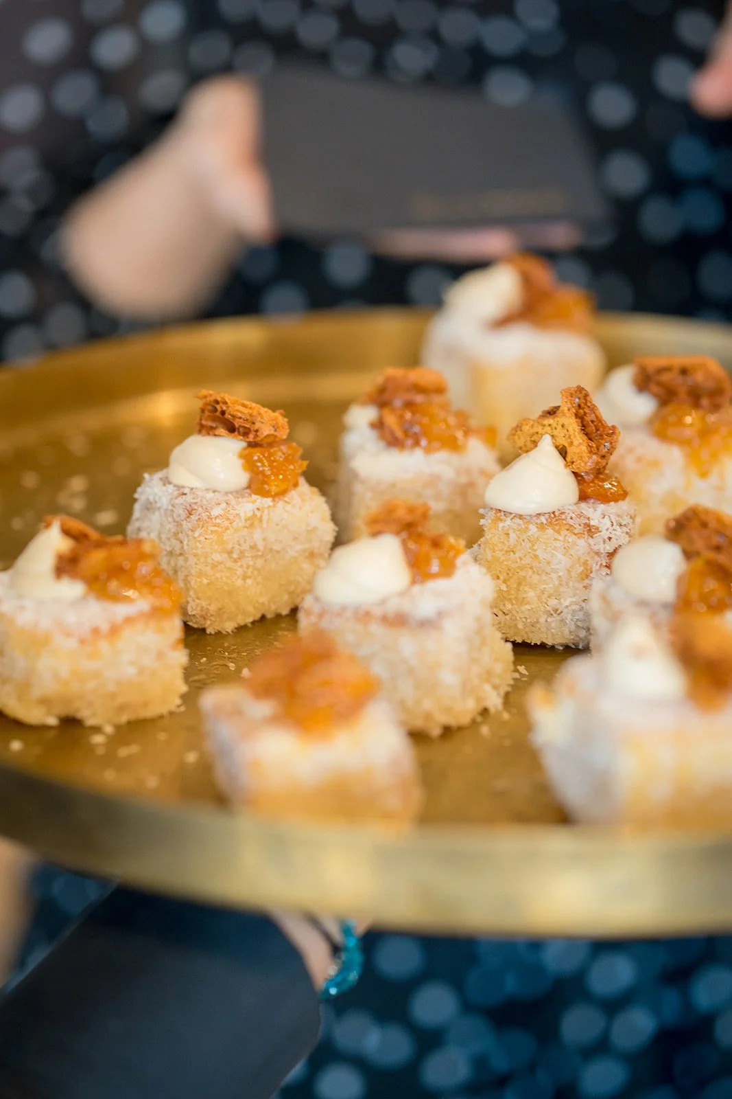 PLR Pelican Waters 01.08.2023-464.jpg